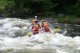 Thumbs/tn_Img_8372.jpg