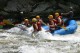 Thumbs/tn_Img_8386.jpg