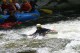 Thumbs/tn_Img_8402.jpg