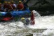 Thumbs/tn_Img_8403.jpg