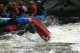 Thumbs/tn_Img_8404.jpg
