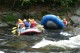 Thumbs/tn_Img_8431.jpg