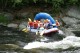 Thumbs/tn_Img_8433.jpg