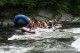Thumbs/tn_Img_8436.jpg