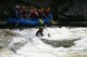 Thumbs/tn_Img_8446.jpg