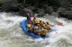 Thumbs/tn_Img_8482.jpg