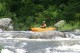 Thumbs/tn_Img_8484.jpg