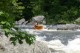 Thumbs/tn_Img_8486.jpg