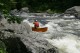 Thumbs/tn_Img_8490.jpg