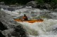 Thumbs/tn_Img_8493.jpg