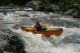 Thumbs/tn_Img_8494.jpg