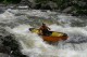 Thumbs/tn_Img_8495.jpg