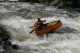 Thumbs/tn_Img_8496.jpg