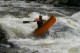 Thumbs/tn_Img_8497.jpg