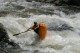 Thumbs/tn_Img_8498.jpg