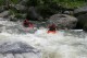 Thumbs/tn_Img_8509.jpg