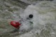 Thumbs/tn_Img_8520.jpg