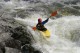 Thumbs/tn_Img_8529.jpg