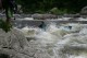 Thumbs/tn_Img_8560.jpg
