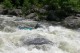 Thumbs/tn_Img_8564.jpg