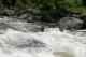Thumbs/tn_Img_8565.jpg