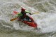 Thumbs/tn_Img_8580.jpg