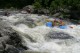 Thumbs/tn_Img_8584.jpg