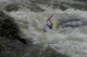 Thumbs/tn_Img_8590.jpg