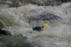 Thumbs/tn_Img_8592.jpg