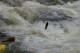 Thumbs/tn_Img_8599.jpg