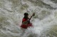 Thumbs/tn_Img_8639.jpg
