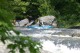 Thumbs/tn_Img_8640.jpg