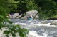 Thumbs/tn_Img_8641.jpg