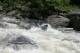 Thumbs/tn_Img_8645.jpg