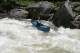 Thumbs/tn_Img_8646.jpg