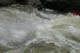 Thumbs/tn_Img_8843.jpg