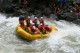 Thumbs/tn_Img_0006.jpg