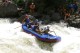 Thumbs/tn_Img_0010.jpg