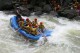 Thumbs/tn_Img_0020.jpg