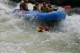 Thumbs/tn_Img_0031.jpg