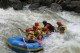 Thumbs/tn_Img_0043.jpg