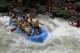 Thumbs/tn_Img_0051.jpg
