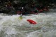 Thumbs/tn_Img_0060.jpg