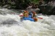 Thumbs/tn_Img_0063.jpg