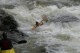 Thumbs/tn_Img_0106.jpg