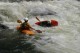 Thumbs/tn_Img_0135.jpg
