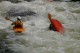 Thumbs/tn_Img_0138.jpg