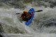 Thumbs/tn_Img_0163.jpg