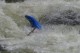 Thumbs/tn_Img_0165.jpg