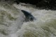 Thumbs/tn_Img_0181.jpg